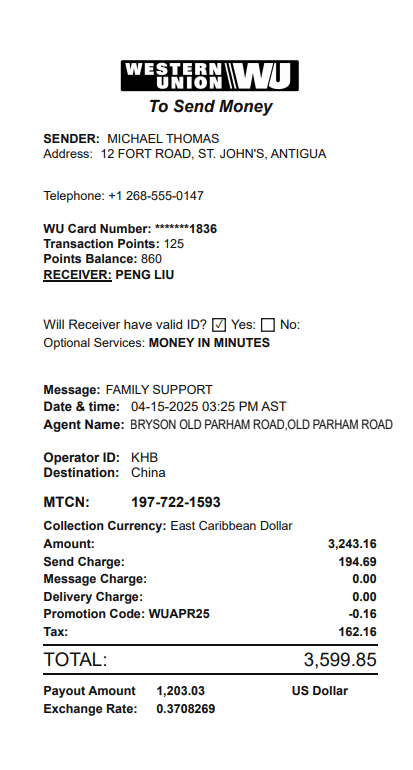 Western Union Receipt Logo
